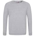 Miniatyrbild 1 av 2: Awdis Barn/Kids Academy Raglan Sweatshirt