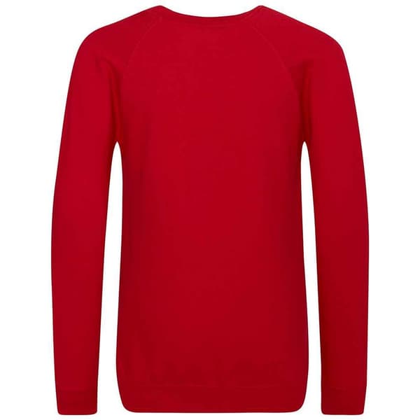 Awdis Barn/Kids Academy Raglan Sweatshirt