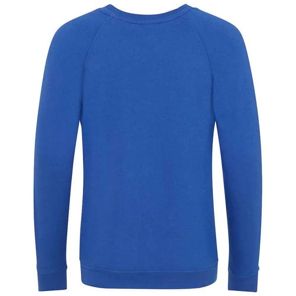 Awdis Barn/Kids Academy Raglan Sweatshirt