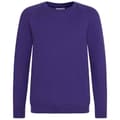 Miniatyrbild 1 av 2: Awdis Barn/Kids Academy Raglan Sweatshirt