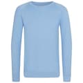 Miniatyrbild 1 av 2: Awdis Barn/Kids Academy Raglan Sweatshirt