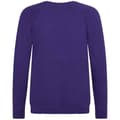 Miniatyrbild 2 av 2: Awdis Barn/Kids Academy Raglan Sweatshirt