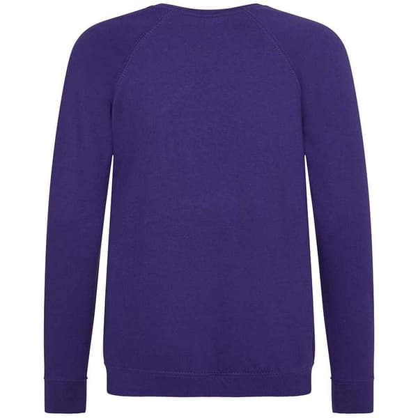 Awdis Barn/Kids Academy Raglan Sweatshirt
