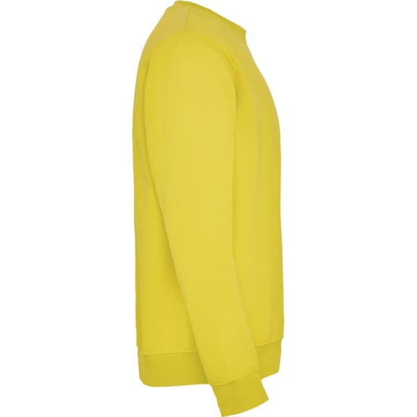 Roly Childrens/Kids Clasica Crew Neck Sweatshirt