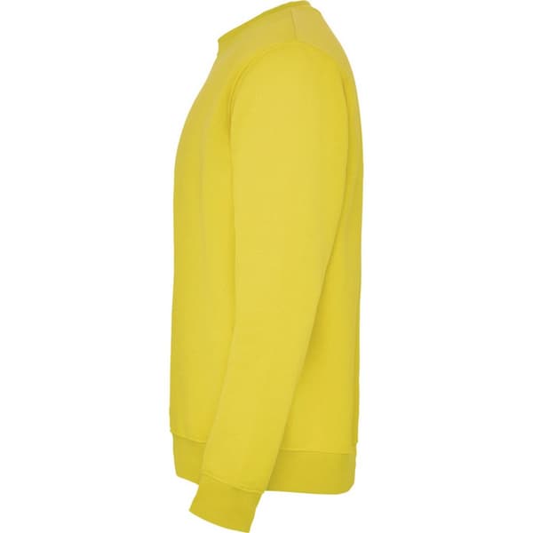 Roly Childrens/Kids Clasica Crew Neck Sweatshirt