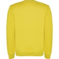 Miniatyrbillede 2 af 4: Roly Childrens/Kids Clasica Crew Neck Sweatshirt