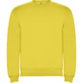 Miniatyrbillede 1 af 4: Roly Childrens/Kids Clasica Crew Neck Sweatshirt