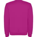 Miniatyrbillede 2 af 4: Roly Childrens/Kids Clasica Crew Neck Sweatshirt