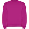 Miniatyrbillede 1 af 4: Roly Childrens/Kids Clasica Crew Neck Sweatshirt