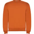 Miniatyrbillede 1 af 4: Roly Childrens/Kids Clasica Crew Neck Sweatshirt