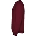 Miniatyrbillede 4 af 4: Roly Childrens/Kids Clasica Crew Neck Sweatshirt