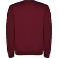 Miniatyrbillede 2 af 4: Roly Childrens/Kids Clasica Crew Neck Sweatshirt