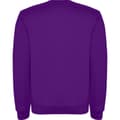 Miniatyrbillede 2 af 4: Roly Childrens/Kids Clasica Crew Neck Sweatshirt