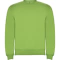 Miniatyrbillede 1 af 4: Roly Childrens/Kids Clasica Crew Neck Sweatshirt