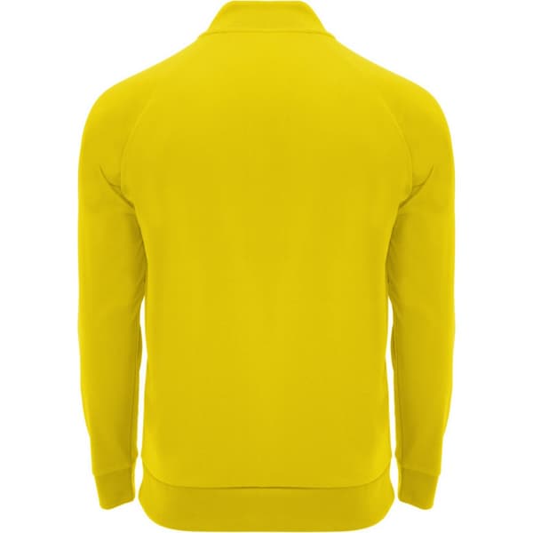 Roly Unisex Adult Epiro Quarter Zip Long-Sleeved Sweatshirt