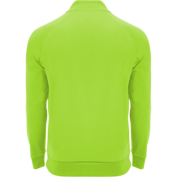 Roly Unisex Adult Epiro Quarter Zip Long-Sleeved Sweatshirt