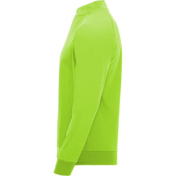 Roly Unisex Adult Epiro Quarter Zip Long-Sleeved Sweatshirt