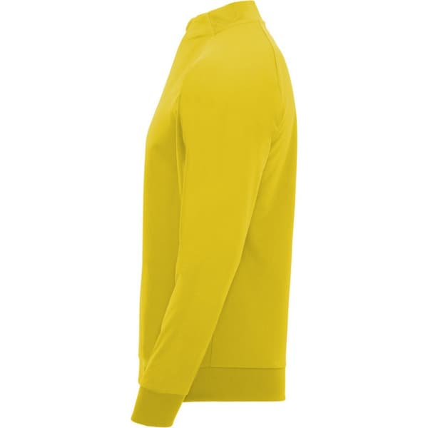 Roly Unisex Adult Epiro Quarter Zip Long-Sleeved Sweatshirt
