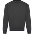 Miniatyrbild 1 av 3: Awdis Unisex Adult Signature Heavyweight Sweatshirt