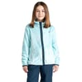 Miniatyrbilde 5 av 5: Dare 2B Childrens/Kids Zesty Fleece Jacket