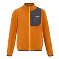 Miniatyrbilde 1 av 4: Regatta Childrens/Kids Frankie Full Zip Fleece Jacket