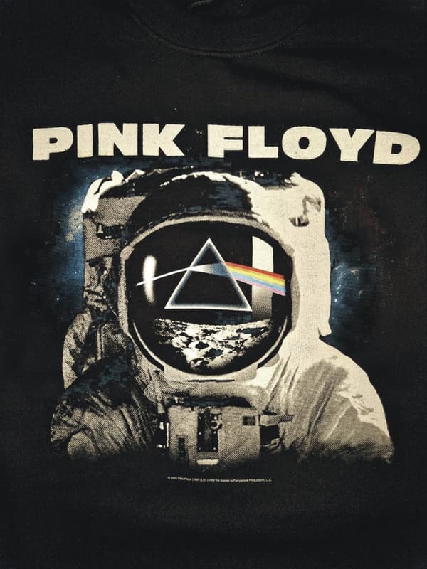 Pink Floyd Pink Floyd The Dark Side of the Moon Astronaut  college