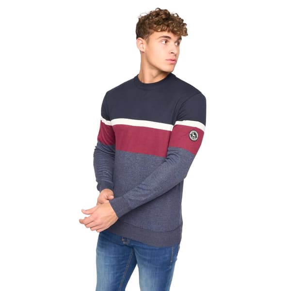 Bewley & Ritch Mens Easedale Knitted Crew Neck Jumper