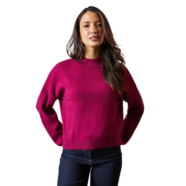 Principles Womens/Ladies High-Neck Jumper