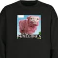 Miniatyrbild 4 av 4: Barn Sweatshirt | Bekväm och Stilren Collegetröja A Minecraft Movie