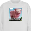 Miniatyrbild 1 av 4: Barn Sweatshirt | Bekväm och Stilren Collegetröja A Minecraft Movie