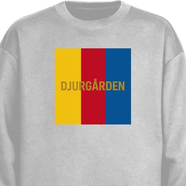 Sweatshirt | Bekväm Collegetröja för Vuxna Djurgården – fotbol