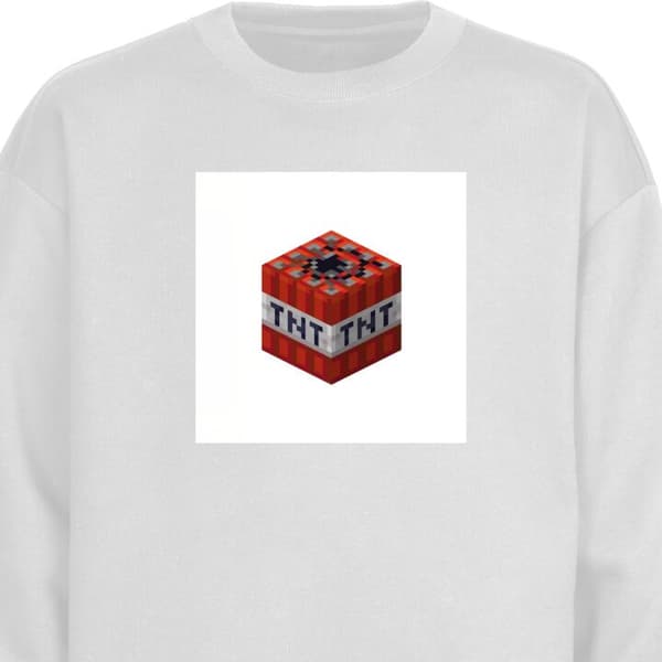 Sweatshirt | Behagelig Collegebluse til Voksne Minecraft TNT
