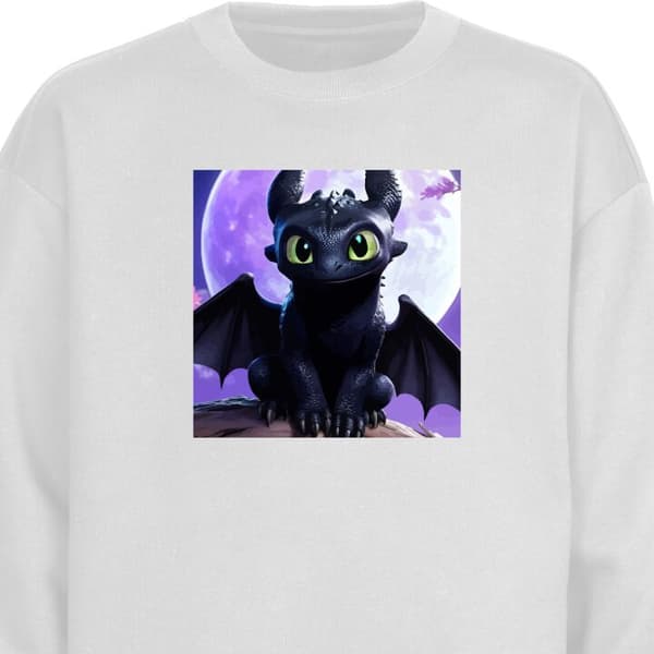 Barn Sweatshirt | Bekväm och Stilren Collegetröja Draktränaren How to Train Your Dragon Vit 3-4 År