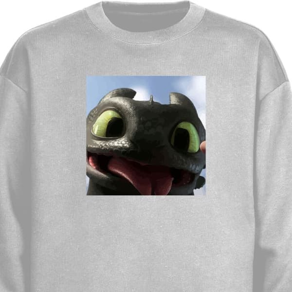 Sweatshirt | Behagelig Collegebluse til Voksne Hvordan træner du din drage