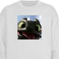 Miniatyrbillede 1 af 4: Sweatshirt | Behagelig Collegebluse til Voksne Hvordan træner du din drage