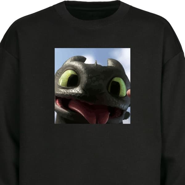 Sweatshirt | Behagelig Collegebluse til Voksne Hvordan træner du din drage
