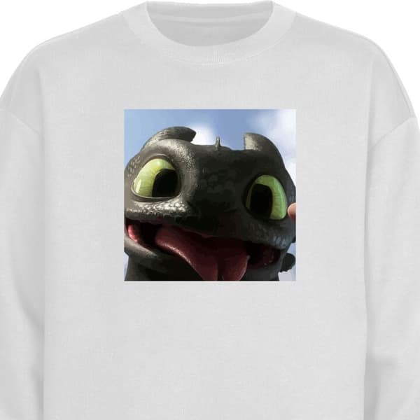 Sweatshirt | Behagelig Collegebluse til Voksne Hvordan træner du din drage