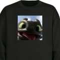 Miniatyrbillede 1 af 4: Sweatshirt | Behagelig Collegebluse til Voksne Hvordan træner du din drage