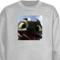 Miniatyrbillede 1 af 4: Sweatshirt | Behagelig Collegebluse til Voksne Hvordan træner du din drage