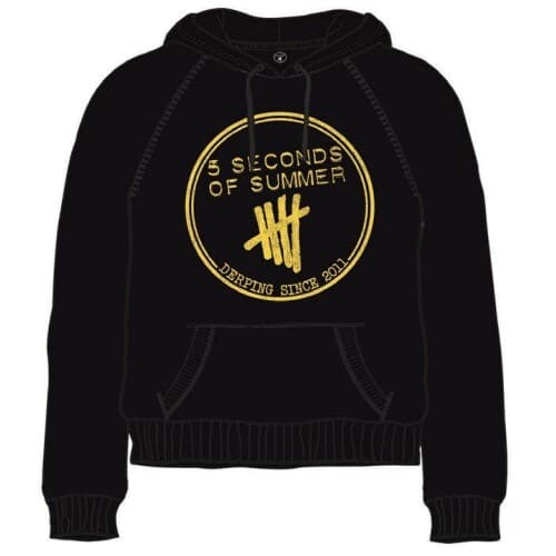 5 Seconds of Summer Unisex Pullover Hoodie: Derping Stamp (Large)