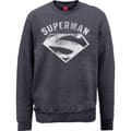Miniatyrbilde 2 av 2: DC Comics Unisex Sweatshirt: Superman Logo Spray (Large)