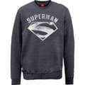 Miniatyrbilde 1 av 2: DC Comics Unisex Sweatshirt: Superman Logo Spray (Large)