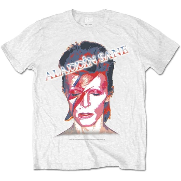 David Bowie Unisex T-Shirt: Aladdin Sane (Small)