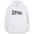 Miniatyrbilde 1 av 3: Tupac Unisex Pullover Hoodie: I See No Changes (XX-Large)
