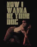 Miniatyrbild 3 av 4: Iggy Pop & The Stooges T Shirt Wanna Be Your Dog Logo Official Mens Black