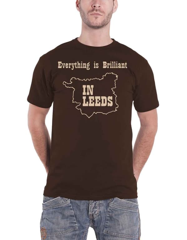 Kaiser Chiefs T Shirt Everything Is Brilliant Band Logo Official Mens Brown