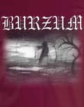 Miniatyrbild 3 av 4: Burzum T Shirt Aske 2013 Band Logo Official Mens Maroon