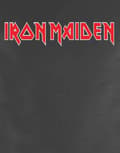 Miniatyrbild 3 av 4: Iron Maiden T Shirt Classic Band Logo Official Mens Charcoal Grey XL
