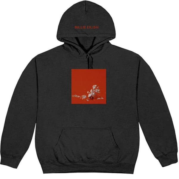 Billie Eilish Unisex Pullover Hoodie: Therefore I Am (XX-Large)