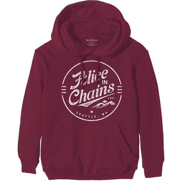 Alice In Chains Unisex Pullover Hoodie: Circle Emblem (Medium)